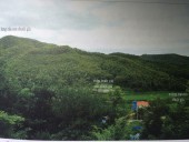Phong thủy nhà đất - Đất sống là gì?