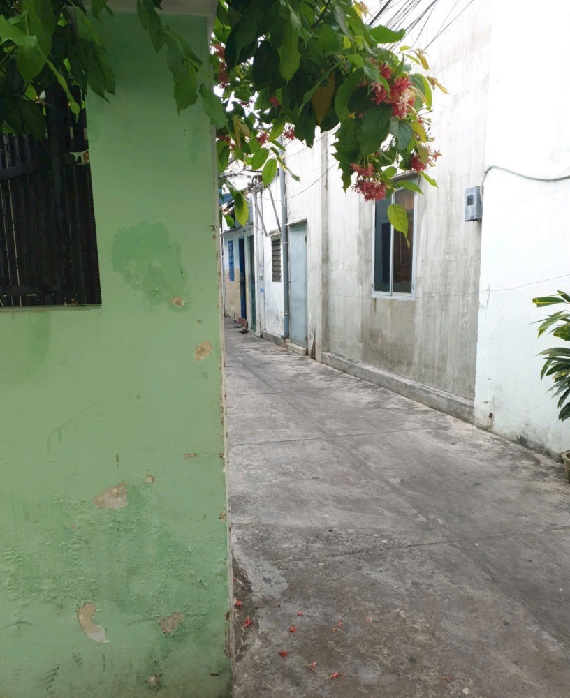 ban nha vung tau ba cu00002